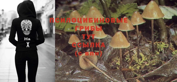 COCAINE Алзамай