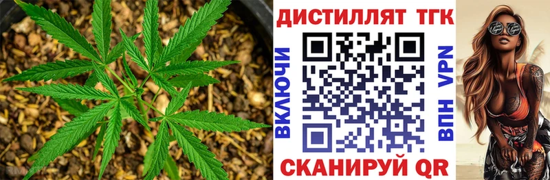 кракен вход  Фрязино  ТГК жижа  сколько стоит 